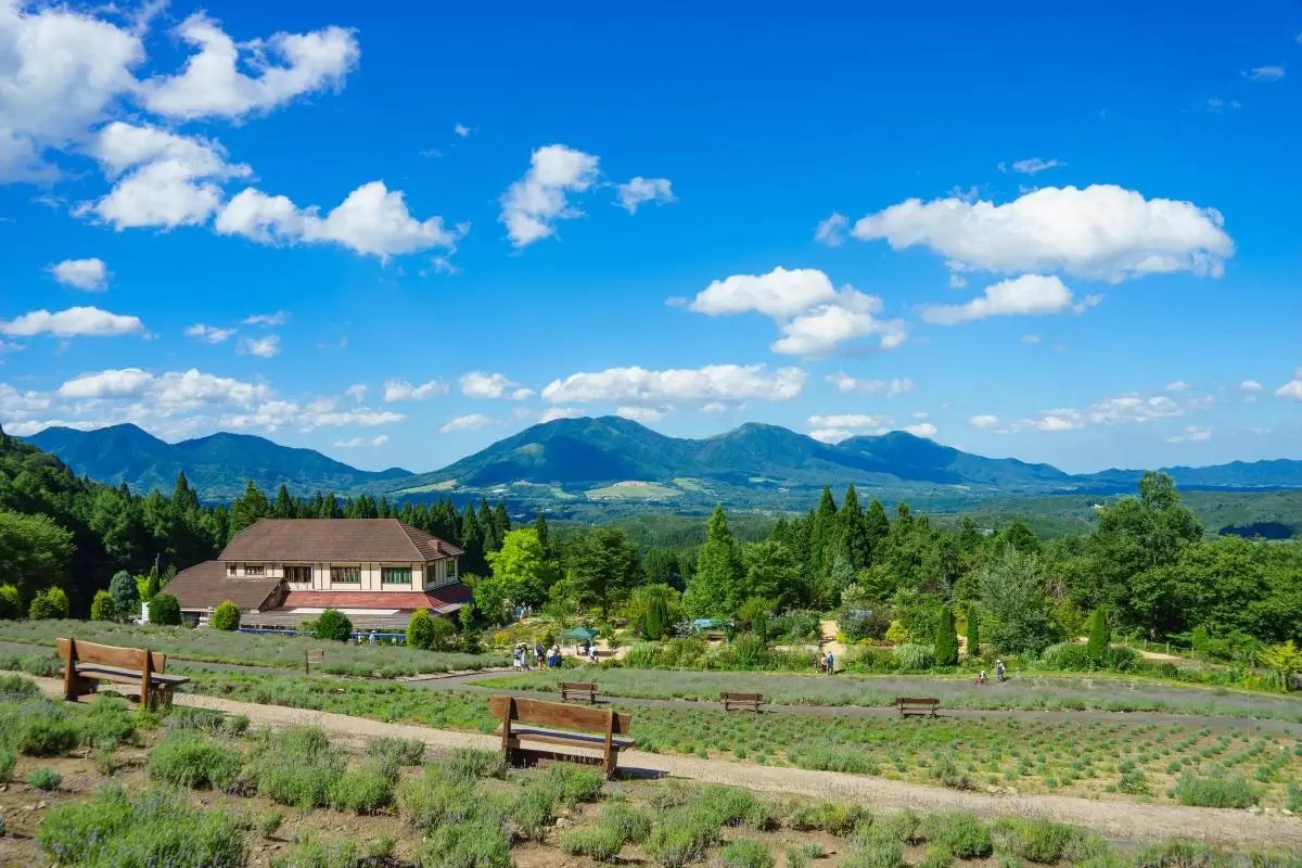 🌿 히루젠 허브 가든 허빌 이미지 5